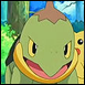 CopyofTurtwig.png