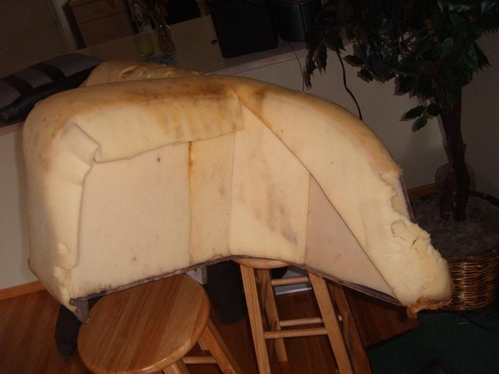 Picture002.jpg
