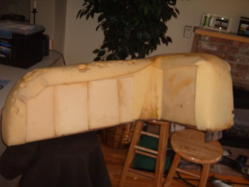 Picture003.jpg