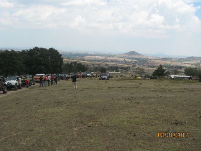 Posted Image