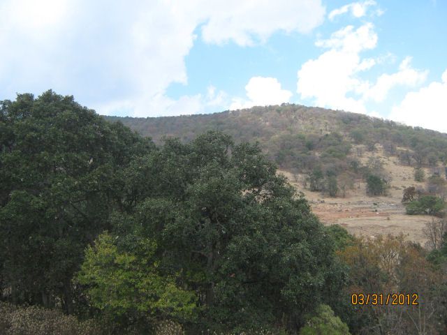 Posted Image