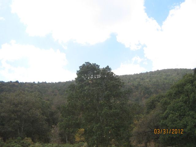 Posted Image