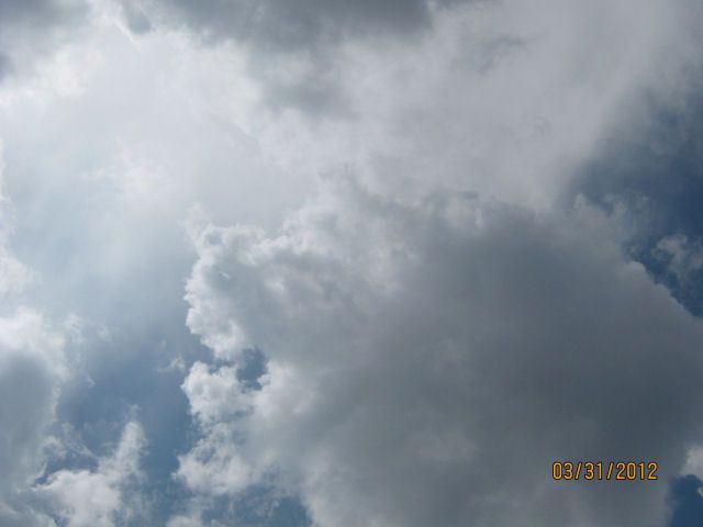 Posted Image