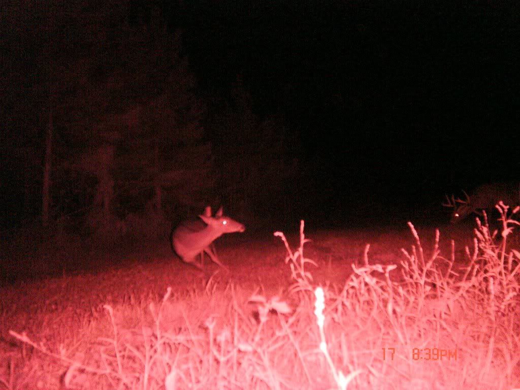 season starts sat. in mississippi Deer Hunting Forums