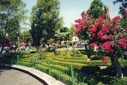 Coyoacan.jpg Coyoacan1 picture by Jove_1947