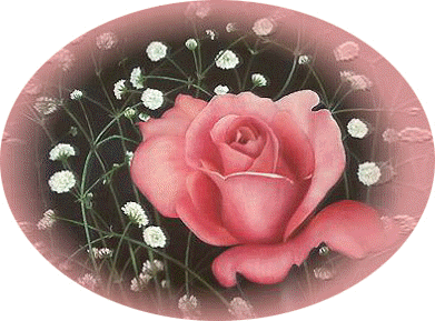 rosa-flor-rosa.gif rosa picture by Jove_1947