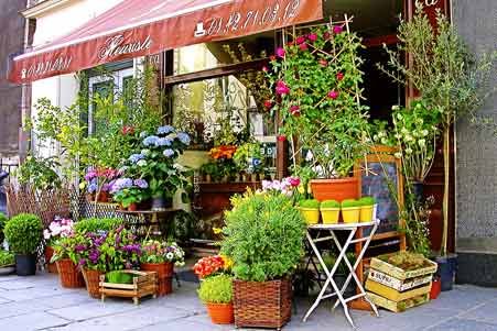 flower store