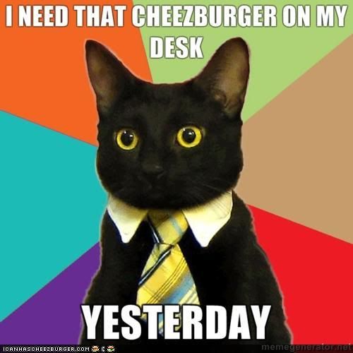 business-kitty-cheeseburger-yesterday.jpg