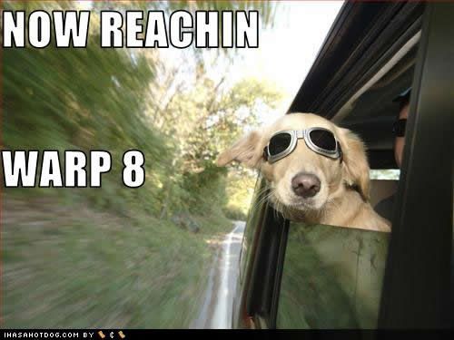 funny-dog-pictures-reachin-warp.jpg
