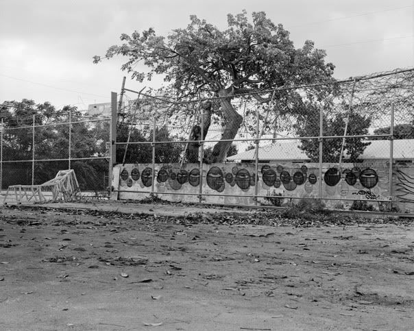 IMAGE: http://i407.photobucket.com/albums/pp155/kauffmanV36/Bakehouse/Untitld8hed-11.jpg