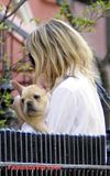th A1 7 Ashley Olsen Caminando con su Cachorro por Nueva York.