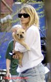 th A3 7 Ashley Olsen Caminando con su Cachorro por Nueva York.