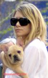 th A4 7 Ashley Olsen Caminando con su Cachorro por Nueva York.