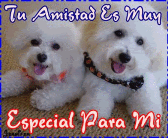 imagenes para hi5
