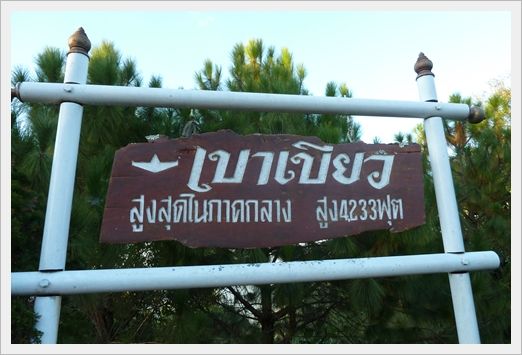 สัญจรสู่เขาใหญ่ จุดชมวิวผาเดียวดาย