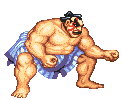 Street Fighter gif photo: sumo street_fighter_004.gif