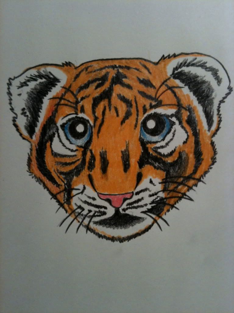 Tiger Cub Sketches