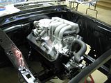 th_mustangnovember16028.jpg
