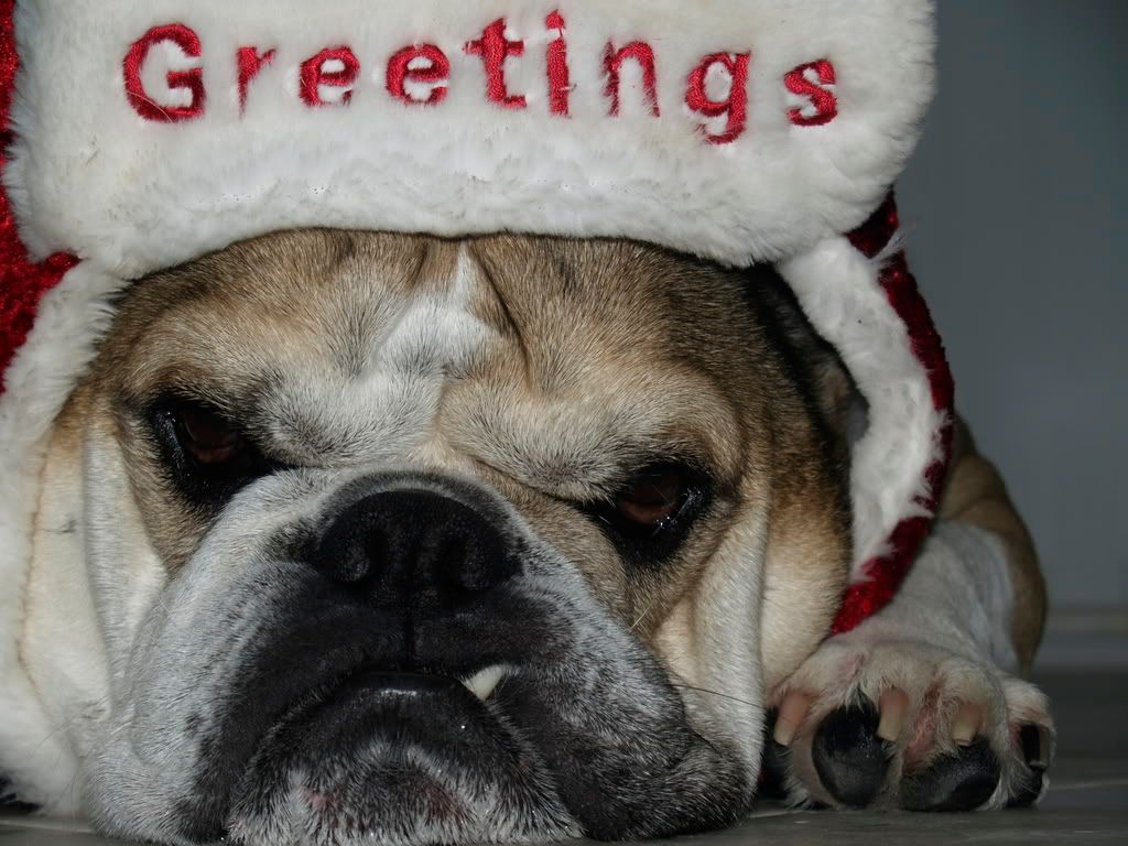 Bah Humbug!