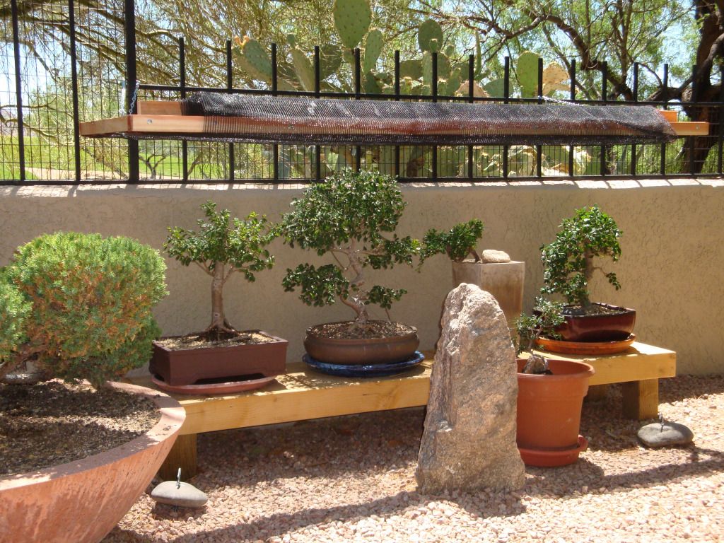 Shade Cloth for Elms... Bonsai Nut