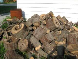 Picture120.jpg
