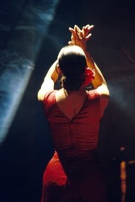 Flamenco Dans Foto Pictures, Images and Photos