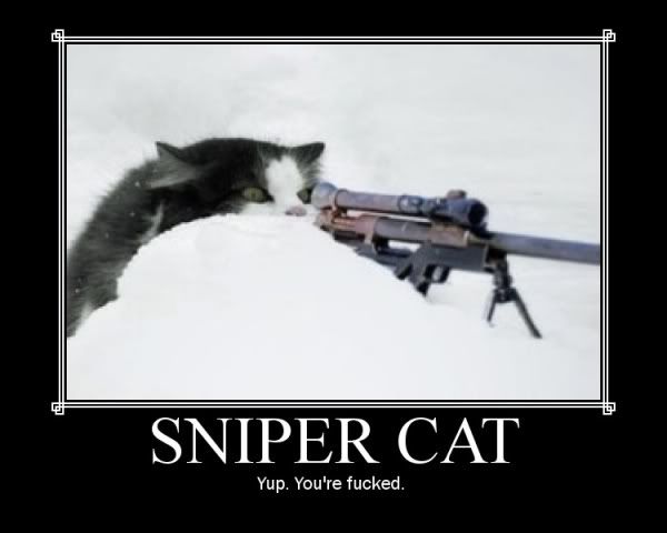 [Bild: sniper_cat.jpg]