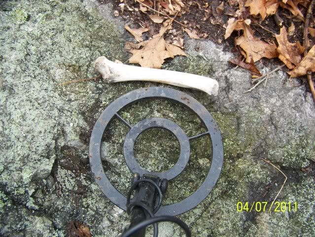 Indianpestel002.jpg