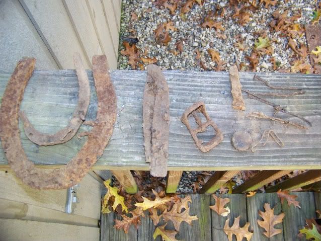 1stbuckle001-1.jpg