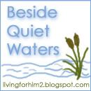 Beside Quiet Waters button