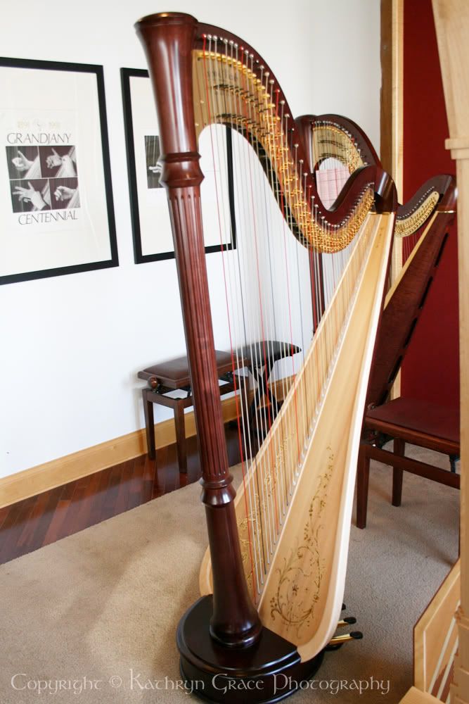Lyon &amp; Healy Style 85 Harp