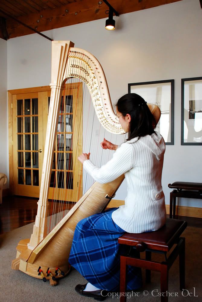Playing the Salzedo Harp