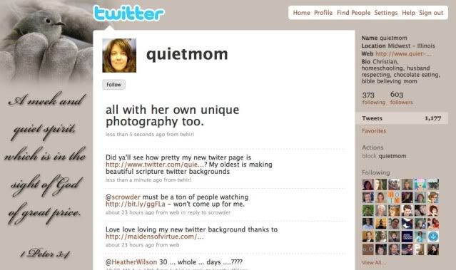 Quietmom Twitter Background