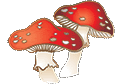 Mushroom Sparkle