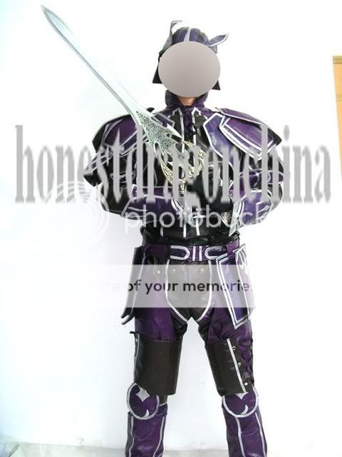 Final Fantasy XI Dragoon Cosplay Costume Custom made  