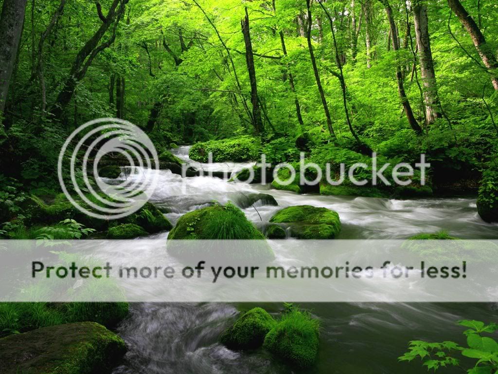 森林里的美景[22p] - suling1140107342的日志 - 网易博客