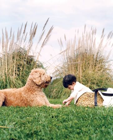 baby and dog phoot