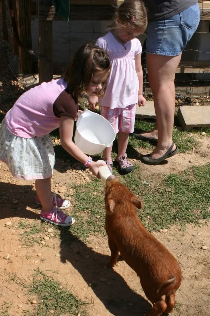 Tuscaloosa Barnyard